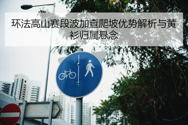 环法高山赛段波加查爬坡优势解析与黄衫归属悬念