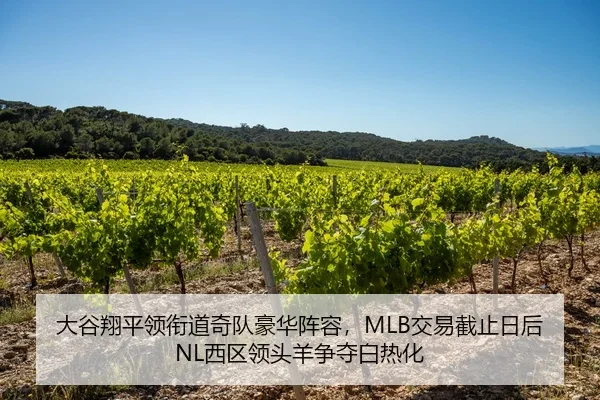 大谷翔平领衔道奇队豪华阵容，MLB交易截止日后NL西区领头羊争夺白热化