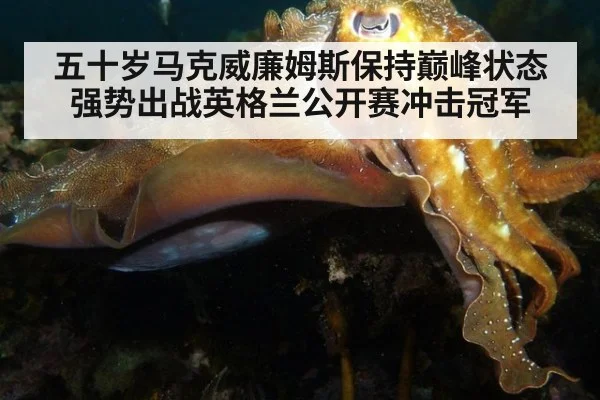 五十岁马克威廉姆斯保持巅峰状态 强势出战英格兰公开赛冲击冠军